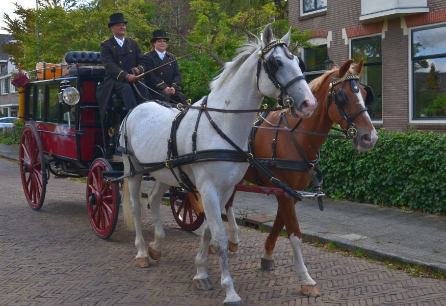 Open Monumentendag met de paardentram